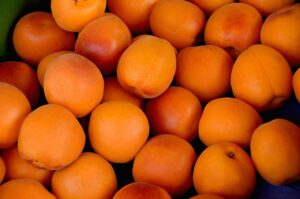 Aprikose: Vorteile, Vorsichtsmaßnahmen und Dosierung