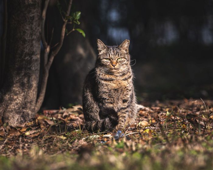 Jangan Lewatkan Jadwal Lottery Favorit Kamu!