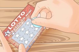 Apa yang Harus Dilakukan Saat Anda Memenangkan Lotere: 10 Langkah untuk ...